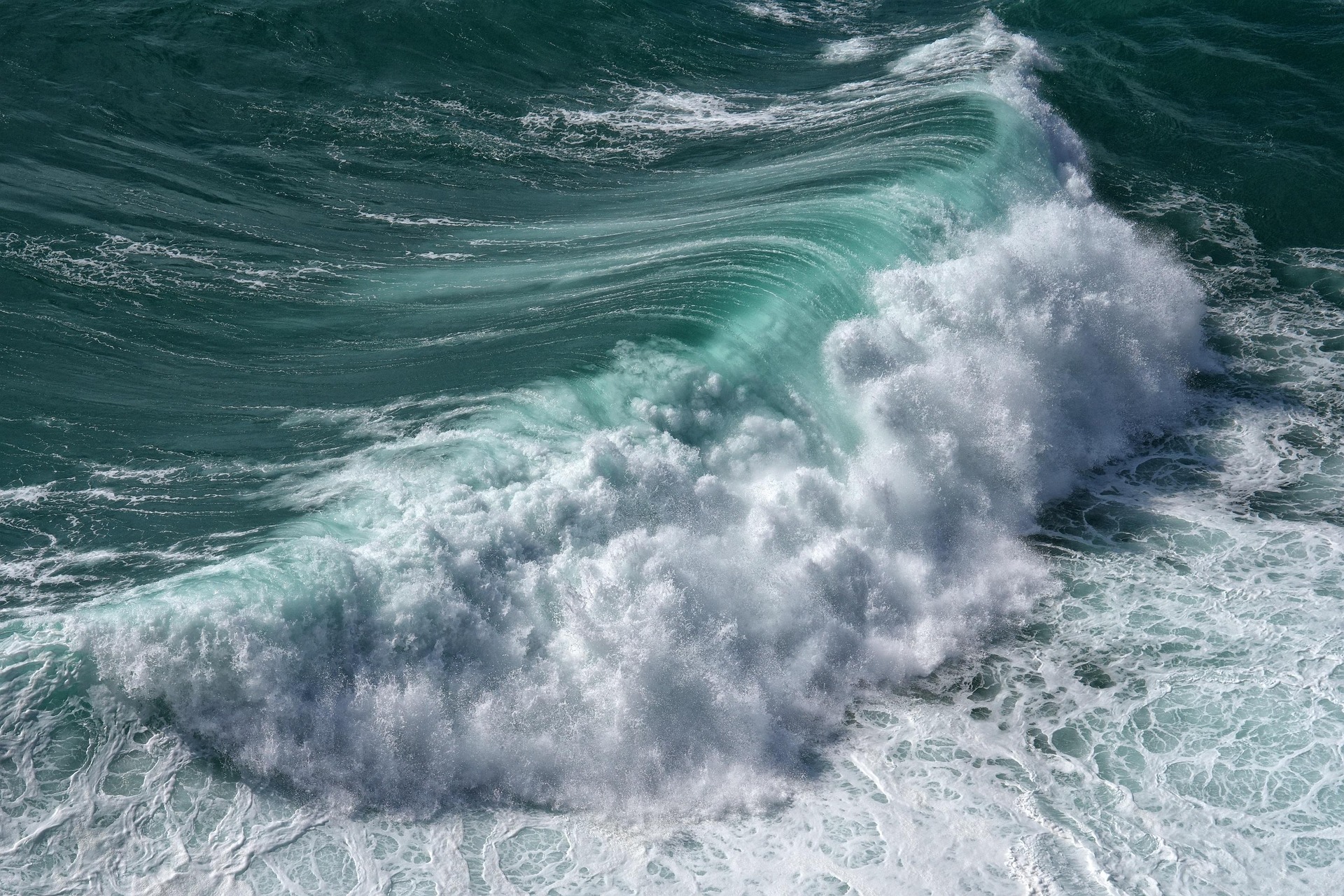 Powerful ocean wave illustrating the force of marine water movement