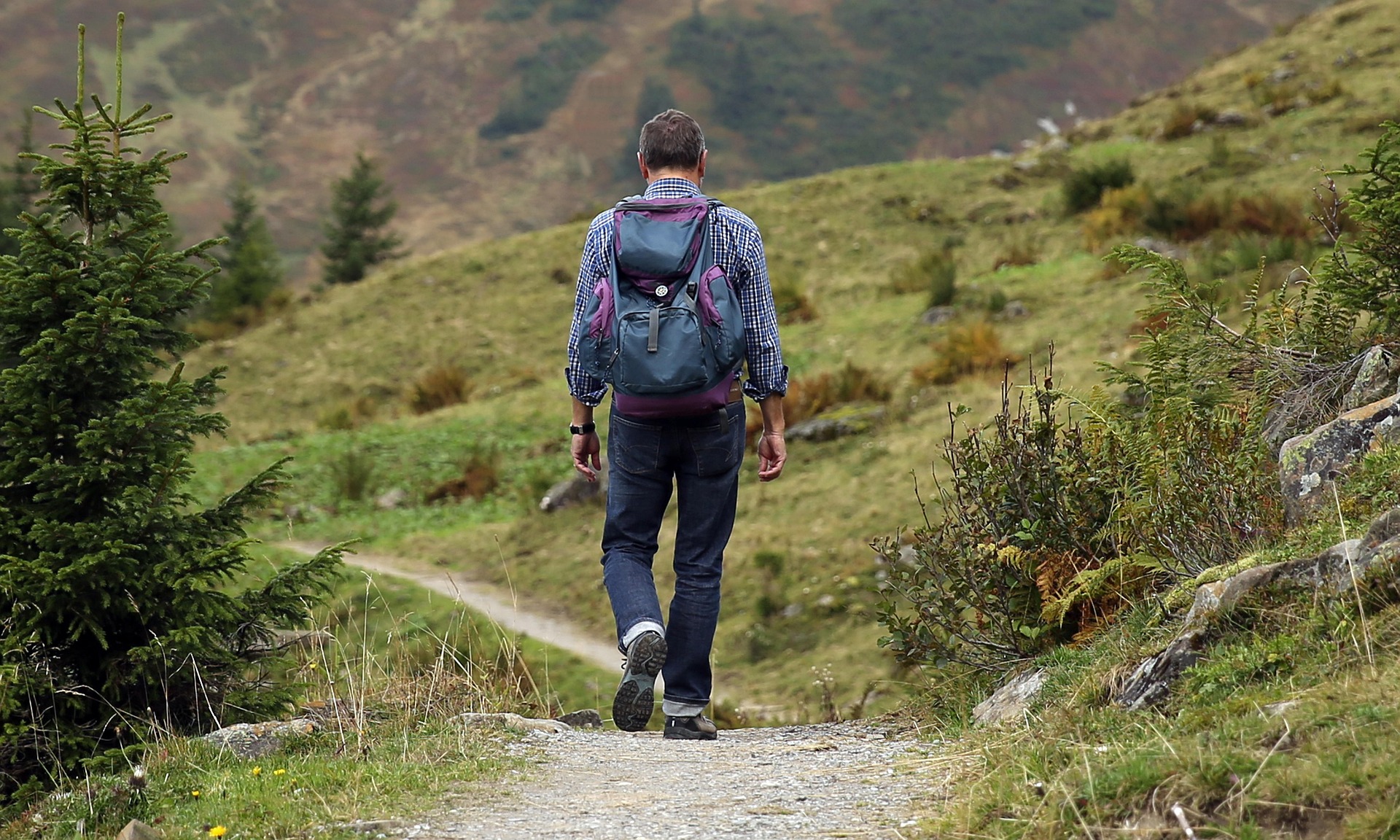Hiker walking along a scenic mountain trail through lush forest